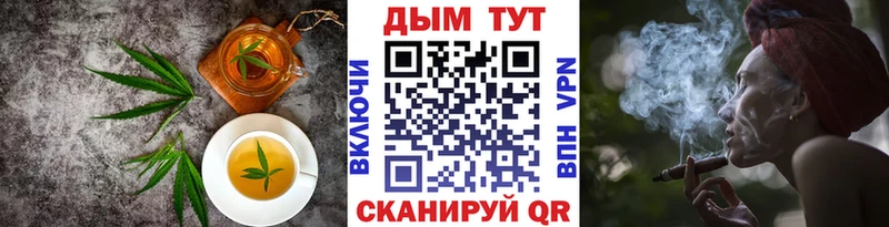 нарко площадка наркотические препараты  Елизово  Печенье с ТГК марихуана 