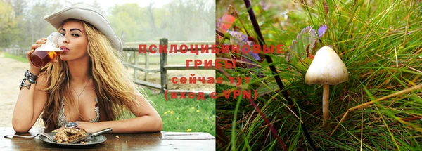 трава Абдулино